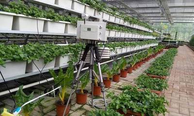 低功耗物联网驱动下的精准种植与溯源管理 构建农业智慧管理新模式